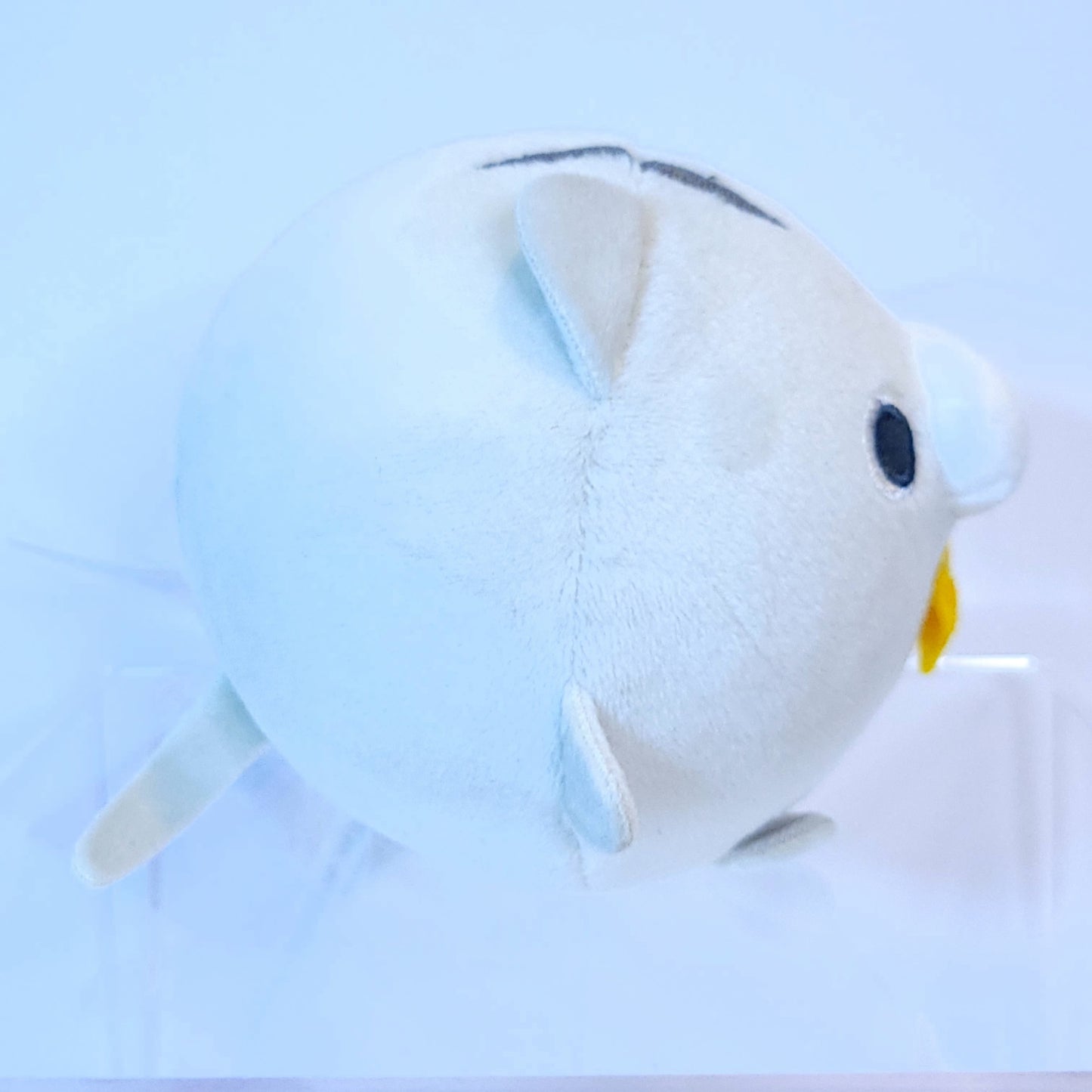 Squishy Cat Plush