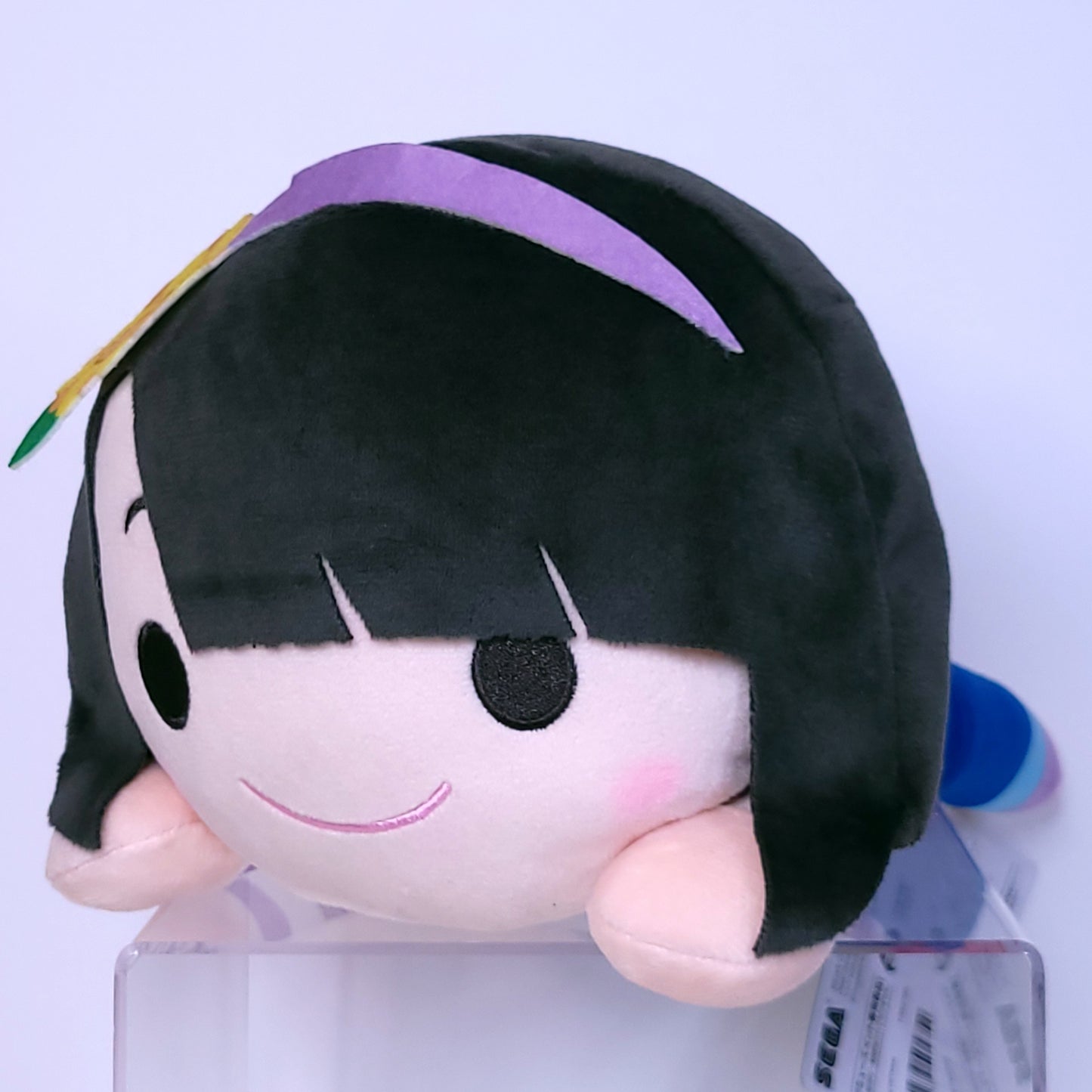 HIMAWARIちゃんねる Nesoberi