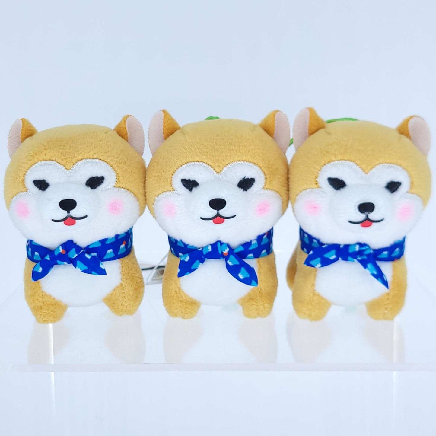 Amuse Mameshiba Small Dog Keychain Plushies