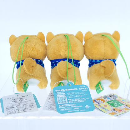 Amuse Mameshiba Small Dog Keychain Plushies